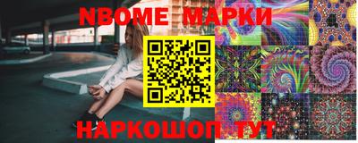 индика Боровичи