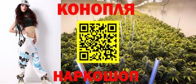 индика Боровичи