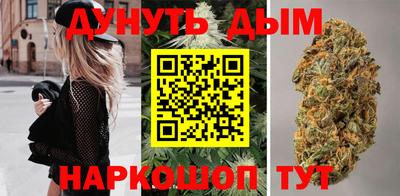 гидра Братск