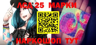 индика Боровичи