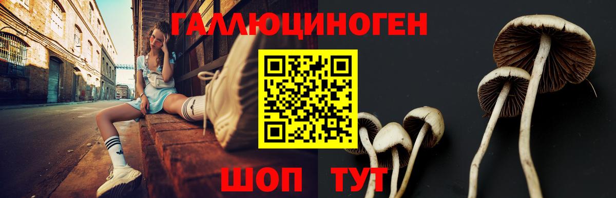 Родники  Галлюциногенные грибы мухоморы  Вход с VPN 